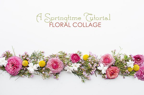 A Springtime Tutorial: Floral Collage | Darling Magazine
