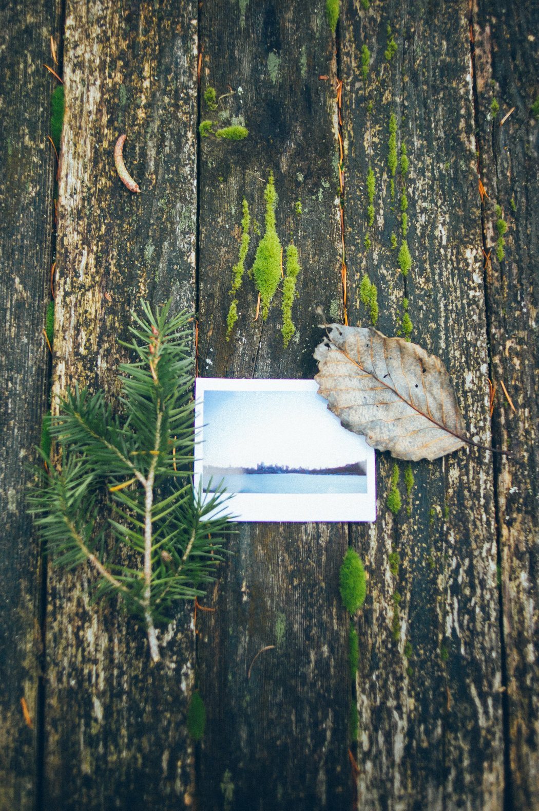 View More: http://morganashleyphotography.pass.us/travel-posts