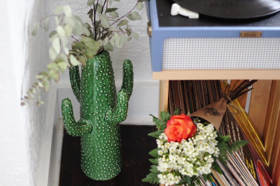 cactus vase