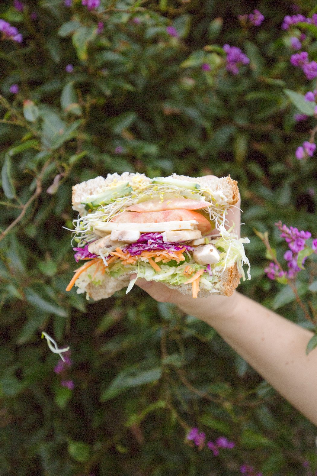 sandys veggie sandwich