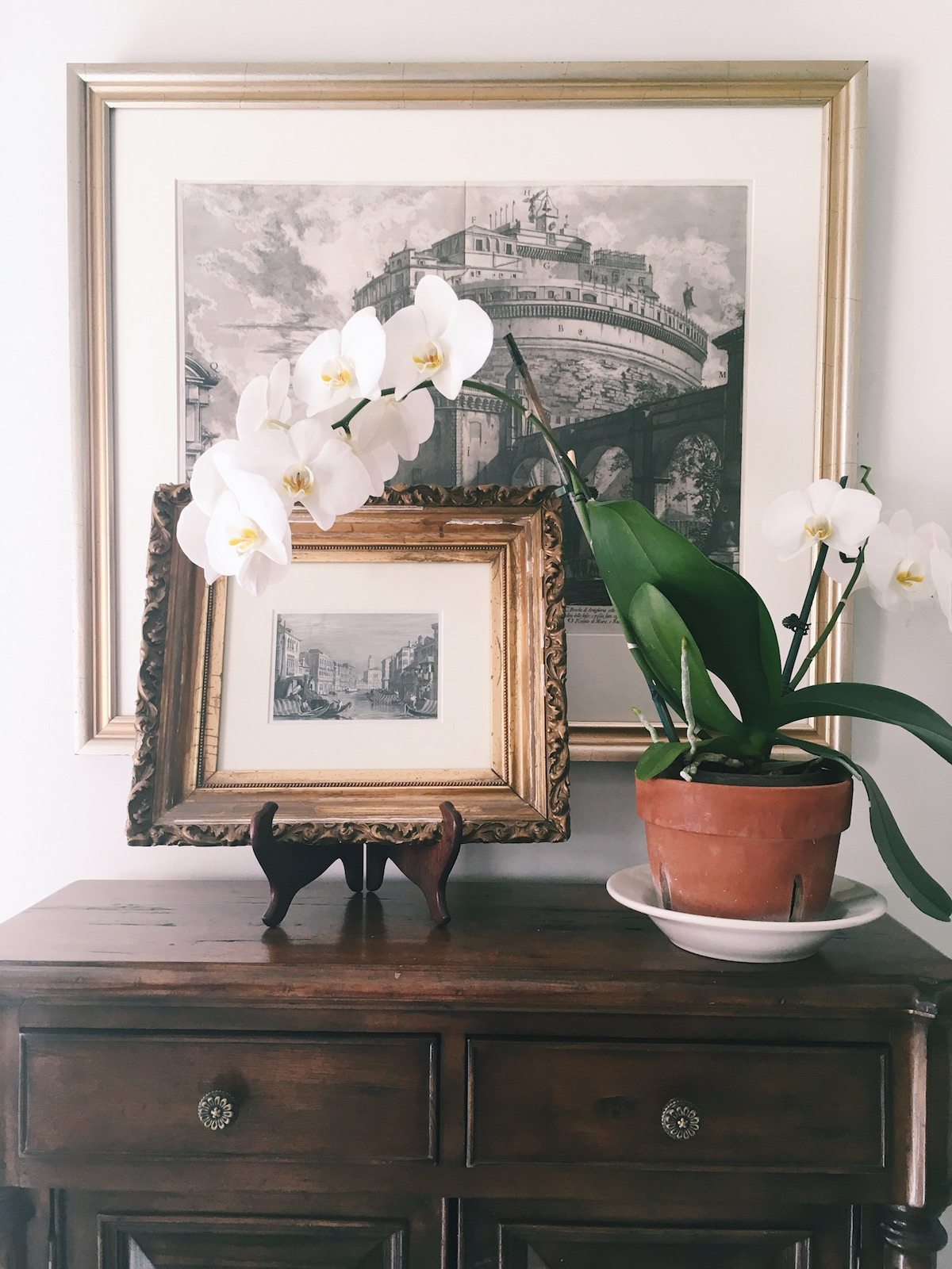 orchid frames