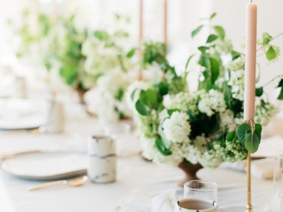 tablescape cup