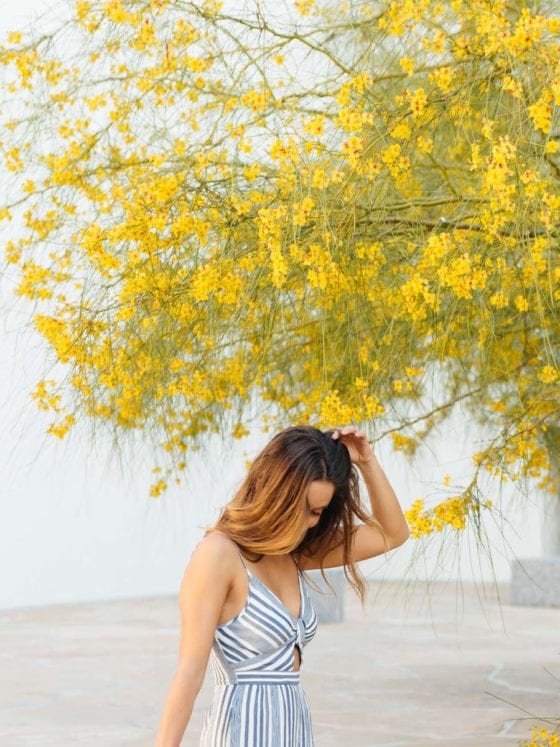yellow flowers tree