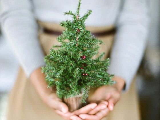 A close up of a woman holding a small Christmas tree in her hands