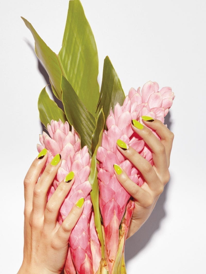 A picture of female hands holding a pink tropical flower