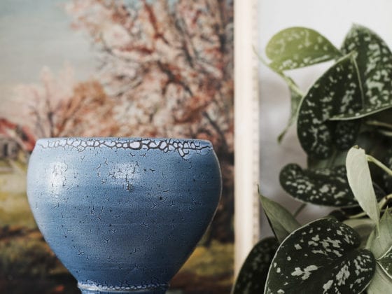 A close up image of an indoor plant, a pot and a painting