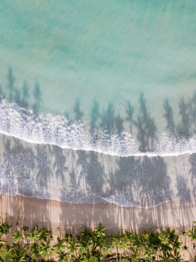 An aerial picture of a shoreline with trees lining it and the shadow of trees in the water