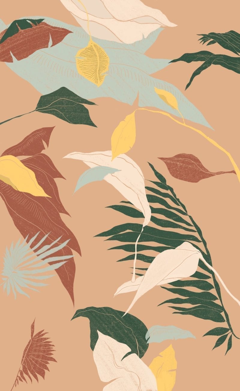 An illustration of leaves of different colors set to a pink background