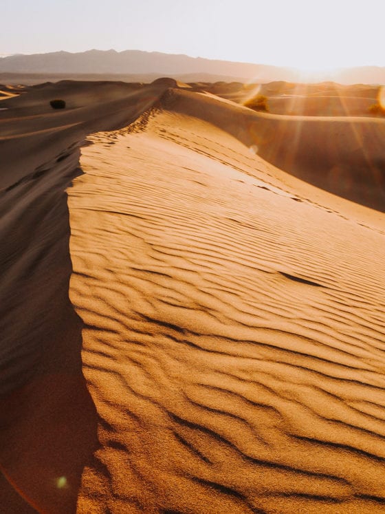 A picture of sand dunes