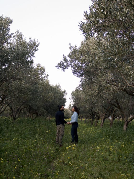 A couple standing between rows of olive trees