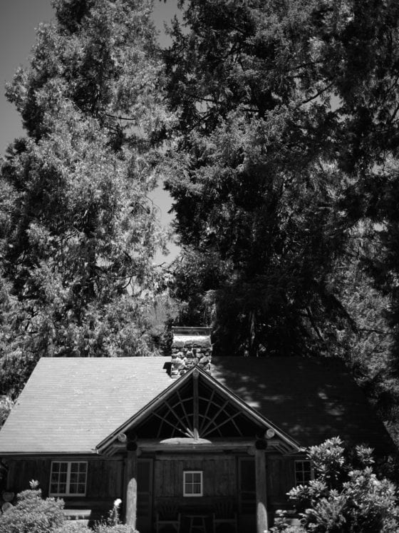 A black and white photo of a house in the woods