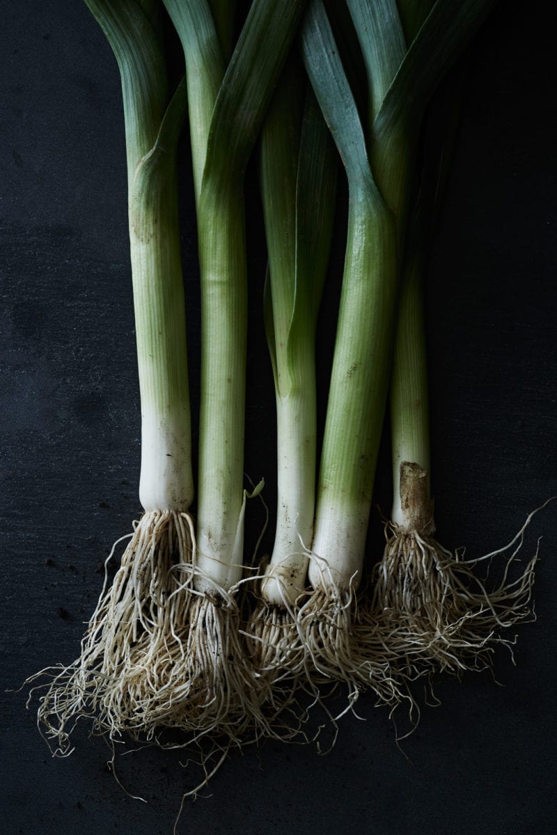 The roots of green onions