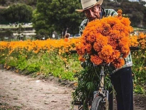 A older man on a bike with "Day of the Dead" flowers