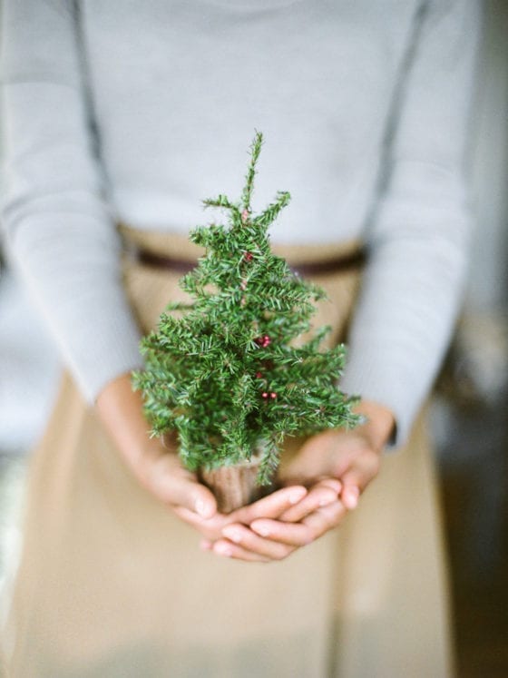 A woman holding a hand sized tree in her hands