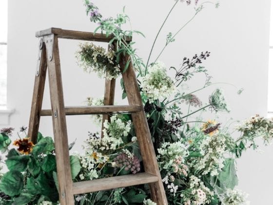A ladder with greenery near the steps