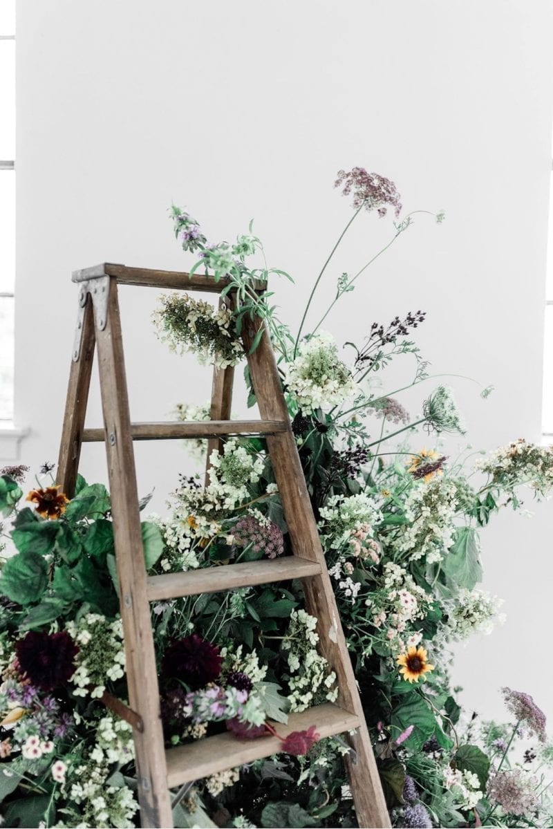 A ladder with greenery near the steps