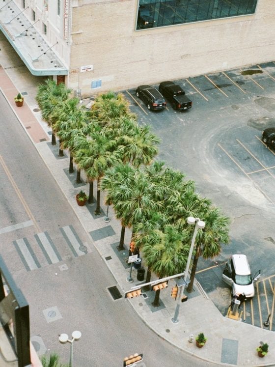 A corner of a tower building with palm trees at ground level