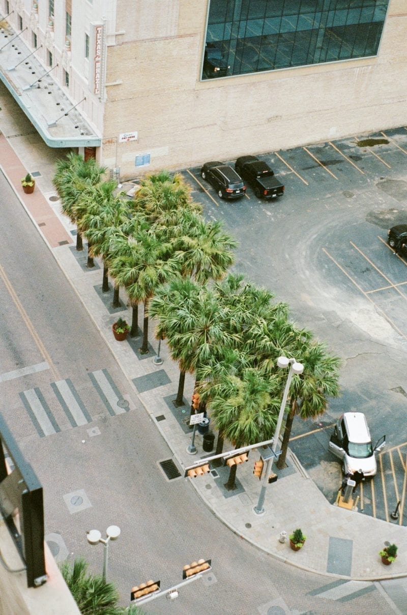 A corner of a tower building with palm trees at ground level