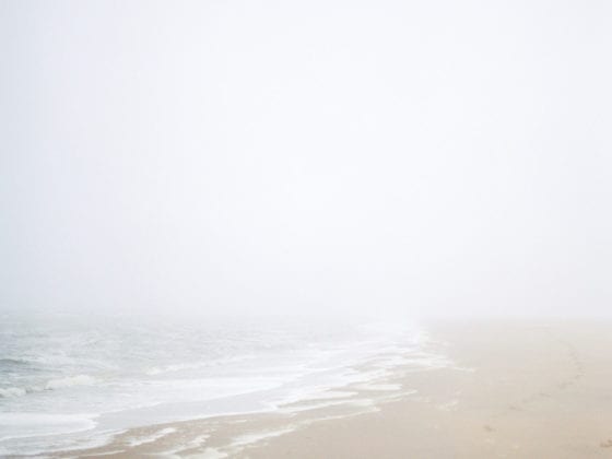 A misty shore along the beach