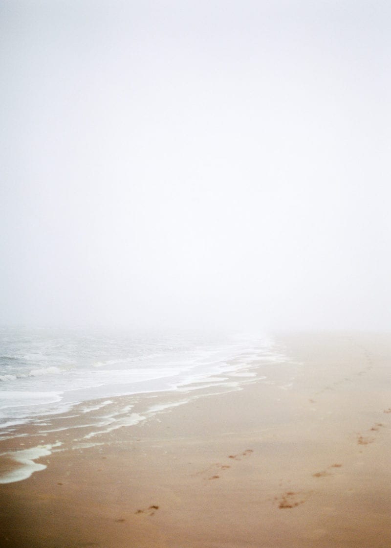 A misty shore along the beach