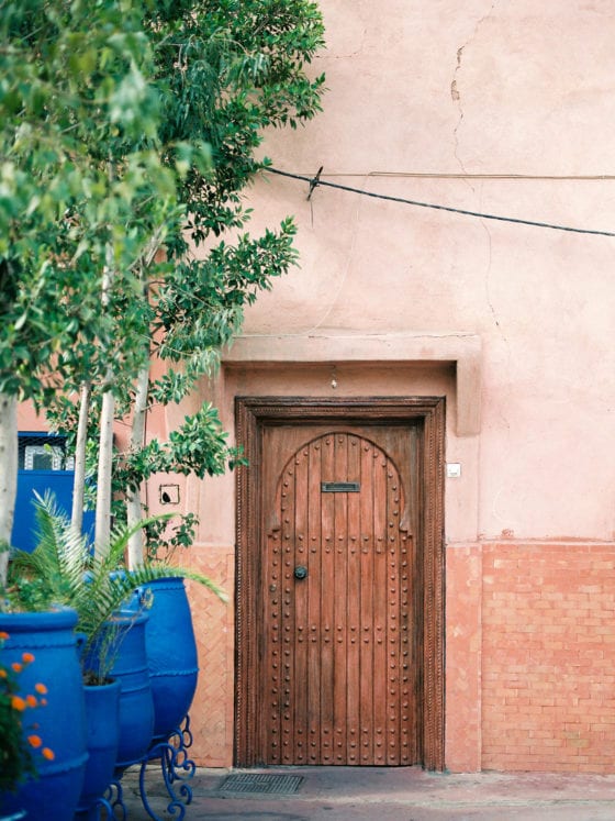 A wooden door and several tall green plants in pots near the door